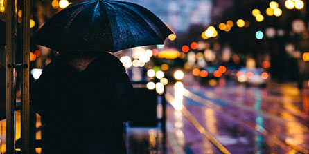 -体育赛事博物馆展出经典赛季珍贵影像资料，体育赛事展示